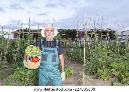 portrait of a male farmer holding a basket with the harvest at his urban vegetable garden standing