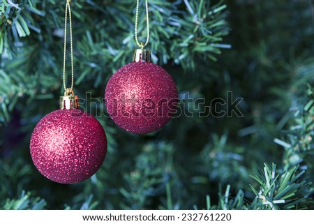 closeup of two shiny red decoration balls hung on a Christmas tree with copy space area - focus on the balls