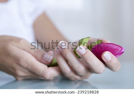 detail of the hands of a young woman holding a fuchsia tulip