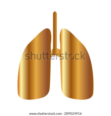 Gold Human lung. Medical background. Health care
