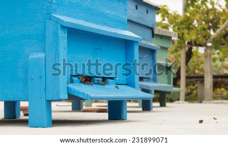 Blue bee-hive