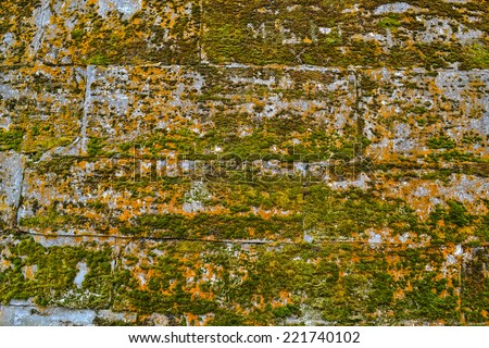 Background, Wallpaper. Stone red wall with moss and greenery.