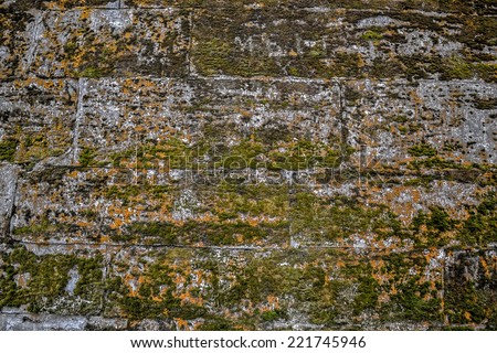 Stone wall in the moss. Background, Wallpaper, texture.