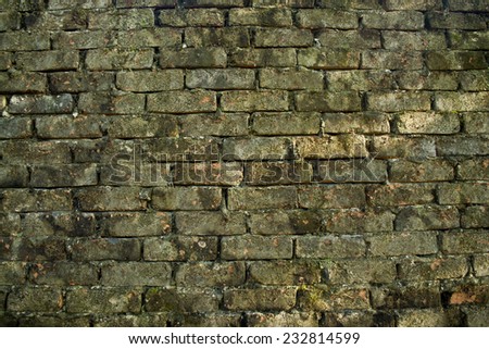 The background texture. Brick wall tested by time.