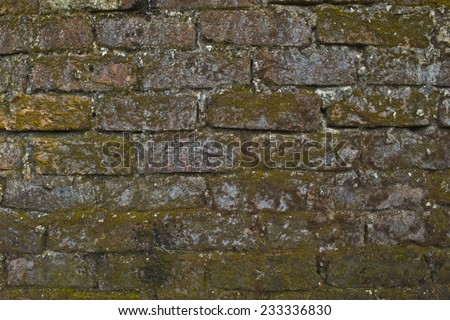 Background, Texture, Wallpaper. Old brick wall with moss.