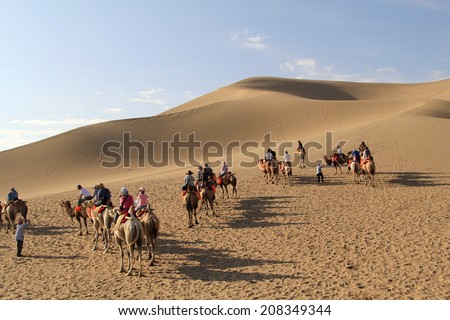 DUNHUANG, CHINA - JULY 27: Camel caravan on the Mingsha desert in profile against a bright blue sky on July 27, 2012 in Dunhuang located, China