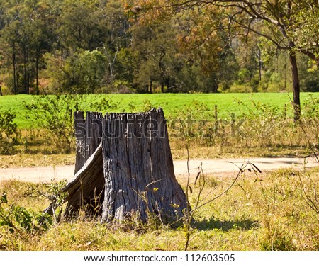 Scenic background old logged  tree trunk  burnt stump against green farm  pasture