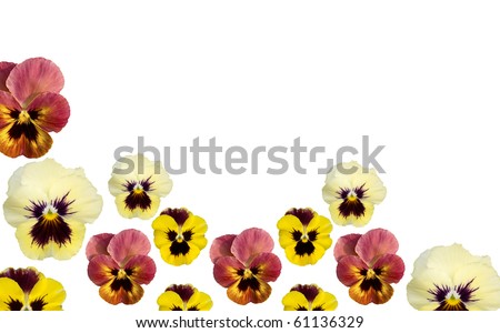 floral border clipart. flower clip art borders.