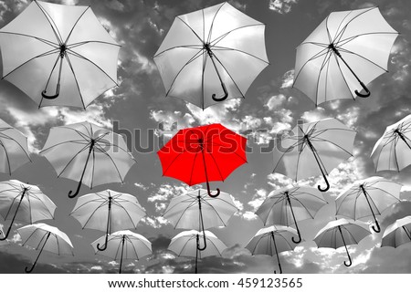 umbrella standing out from the crowd unique concept