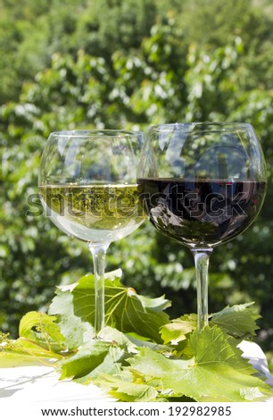 a white wine glass with red wine glass outdoor