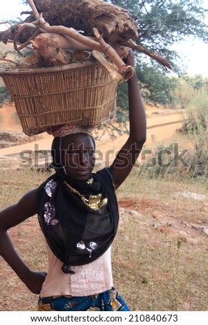 BANDIAGARA, MALI - OCTOBER 2 , 2008: Unidentified woman carrying firewood on head in bandiagara in the Mopti region in Mali on october 2, 2008, Bandiagara, Mali