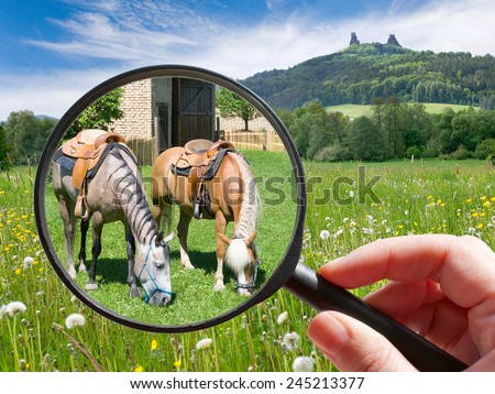 czech agriculture - green farm with animals - horse and horse riding