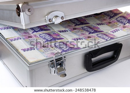 Czech money - banknotes in a case - economy and finance