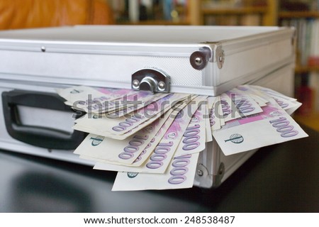Czech money - banknotes in a case - economy and finance