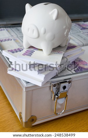 Czech money - banknotes in a case -  economy and finance savings in a piggy bank