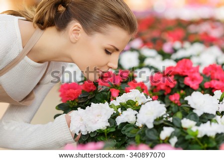 Glorious smell. Pleasant positive delighted seller leaning on the flowers and smelling aroma while being at work