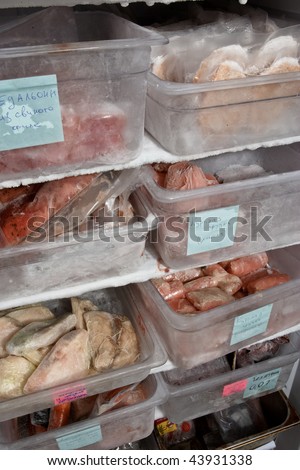 Refrigerator with frozen meat and fish workpieces