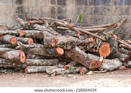 Many of cut down logs on road side.