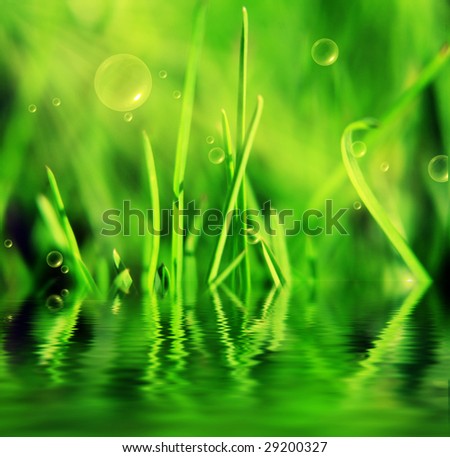 green grass with drops of water, shallow focus