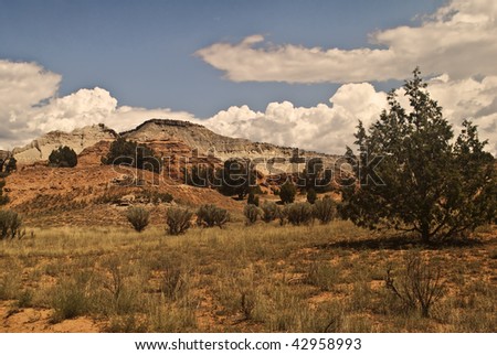 Desert Scene from Kodachrome State Park in Southern Utah