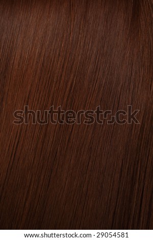 beautiful shine hair of brown colour