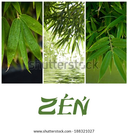 nature zen collage