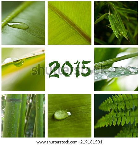 nature zen collage 2015
