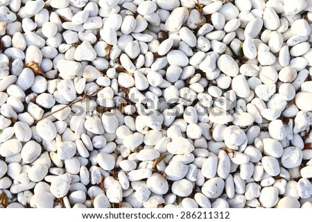 white stone background texture. white stone tablets. white stone and dry leaves ground.