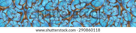 panoramic abstract background tropical butterflys Morpho menelaus