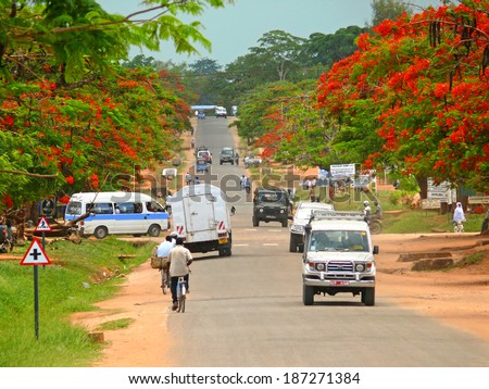 MTWARA, TANZANIA - DECEMBER 3, 2008: The settlement. Cars and men on bicycles go on the road in Mtwara, Tanzania - December 3, 2008.  People go about their business. Flowering trees on the roadside.