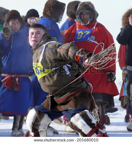 Nadym, Russia - March 15, 2008: the national holiday - the Day of the reindeer herder in Nadym, Russia - March 15, 2008. Sports competitions. Unknown man throws lasso.