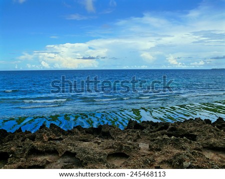 Indian ocean coast. The beach. The Indian ocean. Africa, Mozambique.