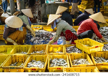 Women sort fresh fishes at traditional fishing village of Long Hai, Ba Ria - Vung Tau, Vietnam.