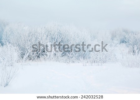 Winter abstract landscape background, cold weather