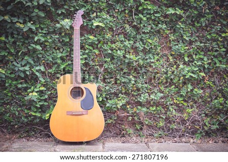 Vintage of acoustic guitar on leaf wall