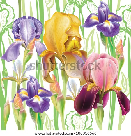 Seamless pattern with Iris flowers Seamless pattern with Iris flowers