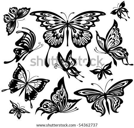 pics of butterflies. and white utterflies
