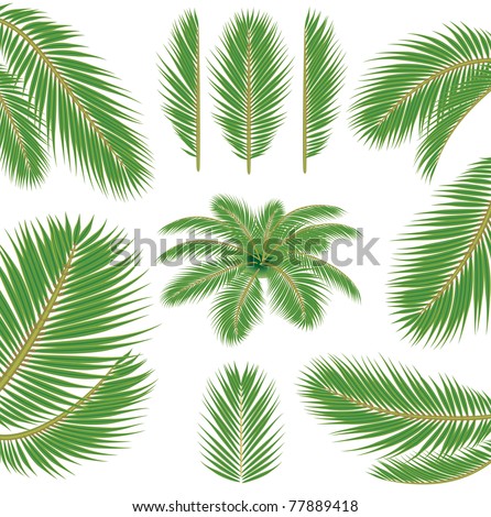 illustrator leaf brush