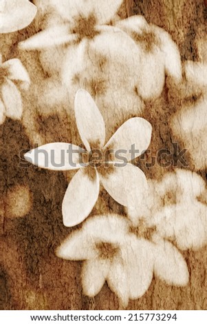 Rough wall cement texture plumeria flower for sepia background