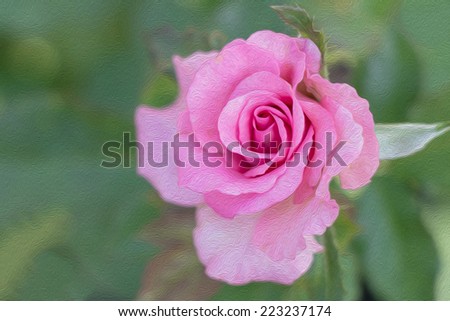 Rose flower on green background made with oil paint