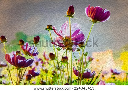 Cosmos Flower in the night made with oil paint