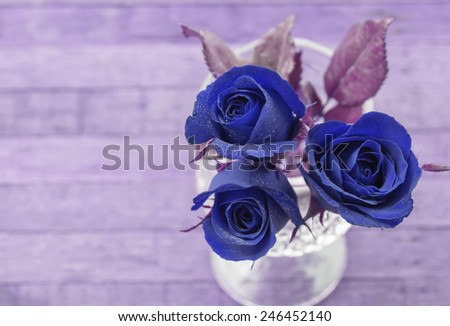 Purple rose flower in a glass