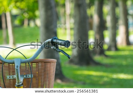 Handlebar Bicycle Resting in the Park