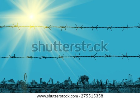Sun beam,Broken glass and barbed wire on the wall at home.