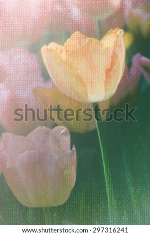 Abstract blurred Tulip flower on burlap textured with pastel filtered background