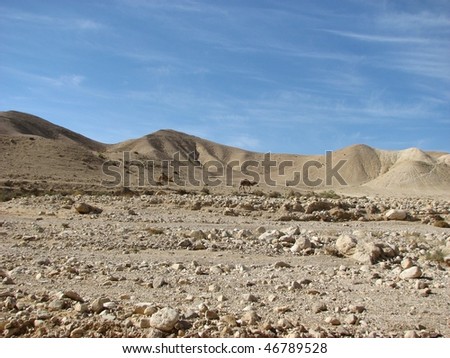 Judean Desert - a desert in the Middle East, located on the territory of Israel, on the west coast of the Dead Sea.