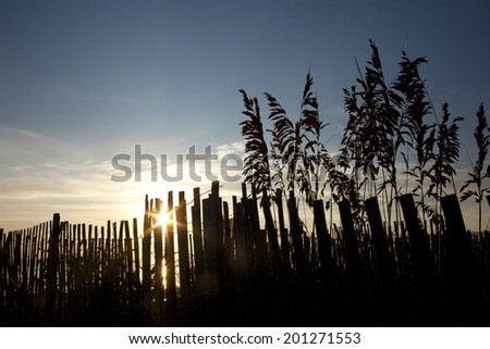 Daylight breaking through dune fences along the seashore