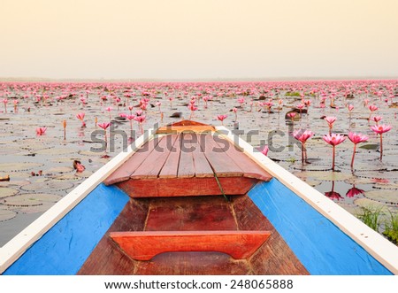 long-tailed boat in lake among a lot of pink lotus at sunrise
