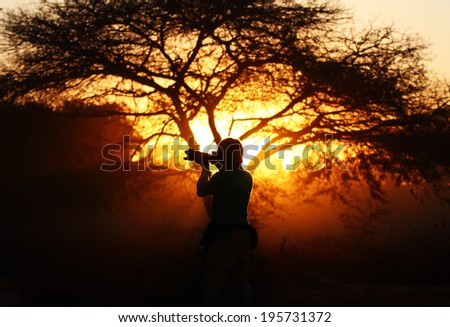 Silhouette of a young photographer during the sunset with background big trees beautiful