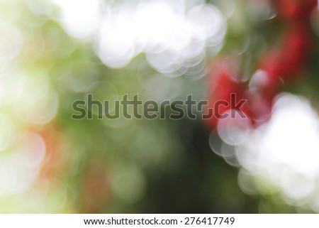 Natural outdoors bokeh background with  bright and beautiful